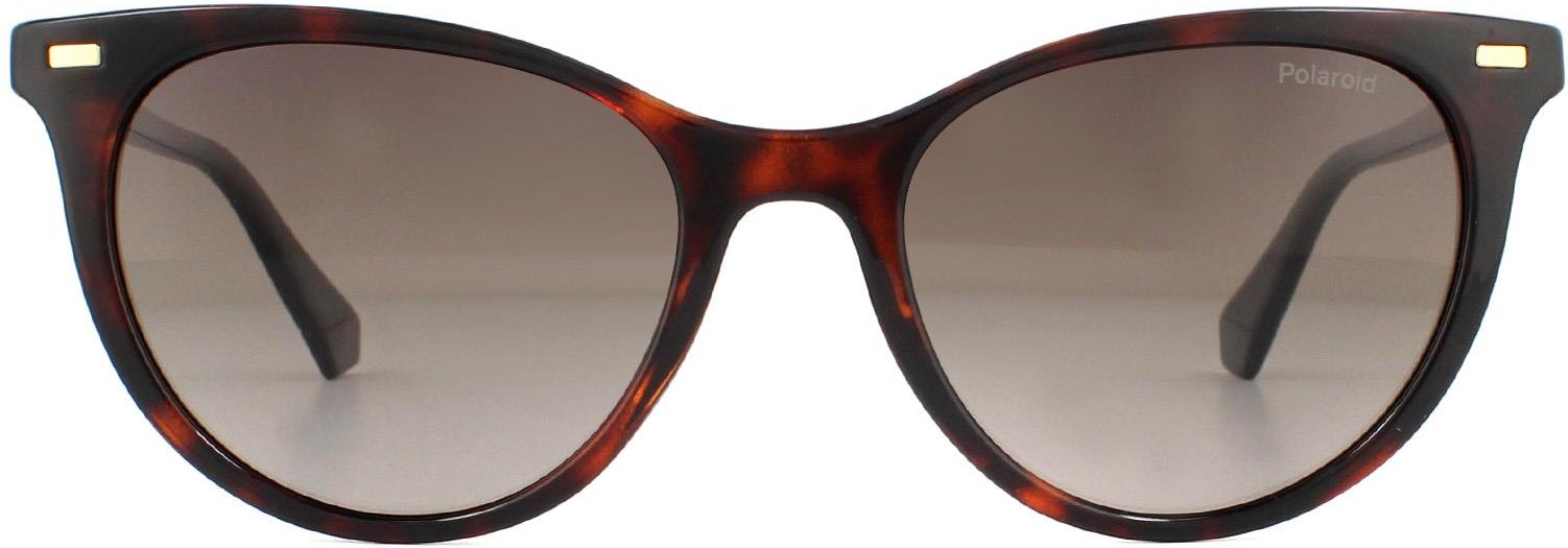 Polaroid Cat Eye Damen Havanna Braun Gradient Polarisierte Sonnenbrille