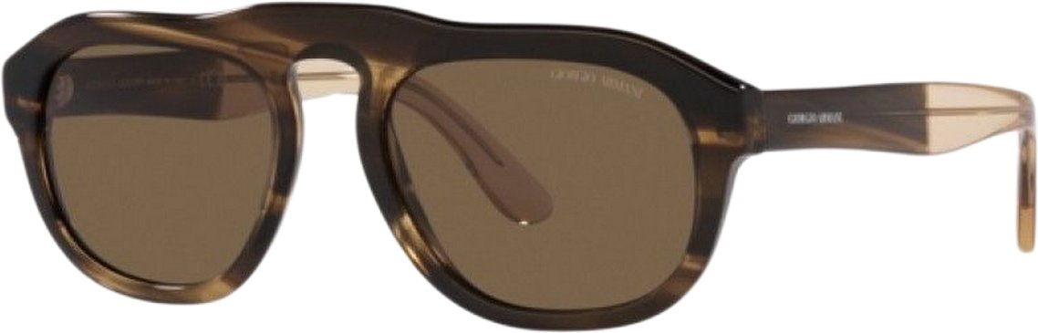 Herren Sonnenbrillen Armani AR8173-595873 Ø 52 mm
