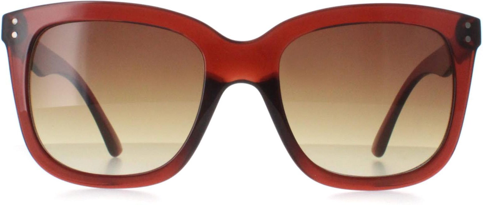 Calvin Klein CK22550S 210 transparente braune Sonnenbrille mit Farbverlauf