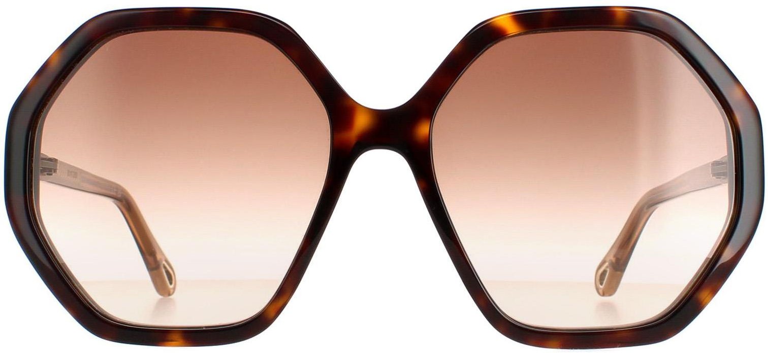 Chloe Round Womens Dark Havana and Brown Crystal Brown Gradient CH0008S Esther