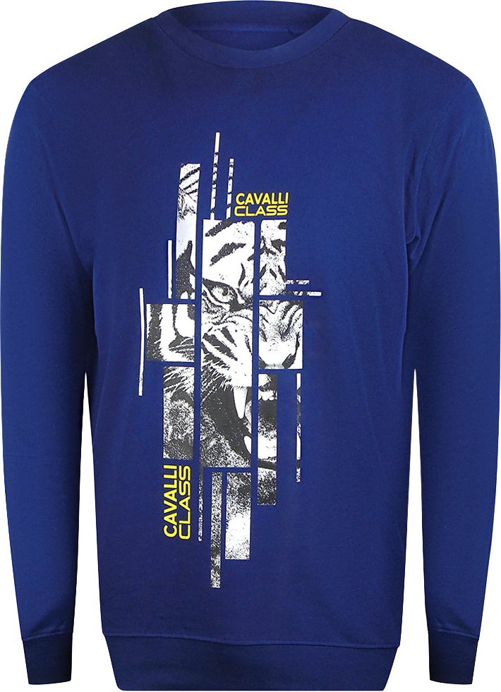 Cavalli Class Sweatshirt Mit Zersplittertem Tiger-print In Irisblau