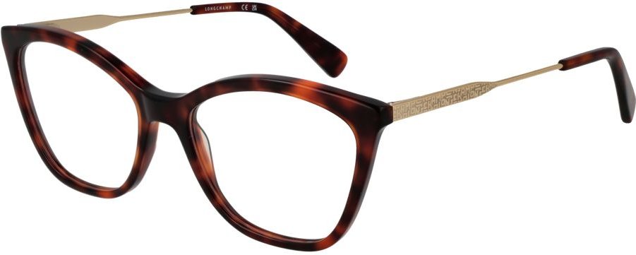 Braune Metall- und Kunststoffbrille (Gestelle)