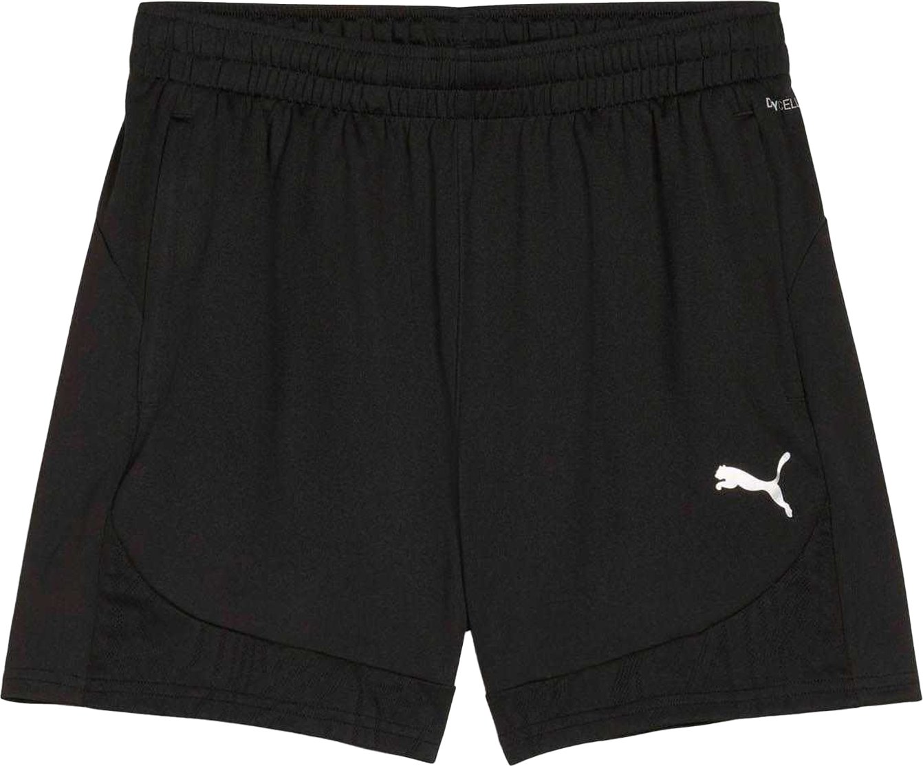 Puma Herren TeamFinal Slim Training Shorts (Schwarz)