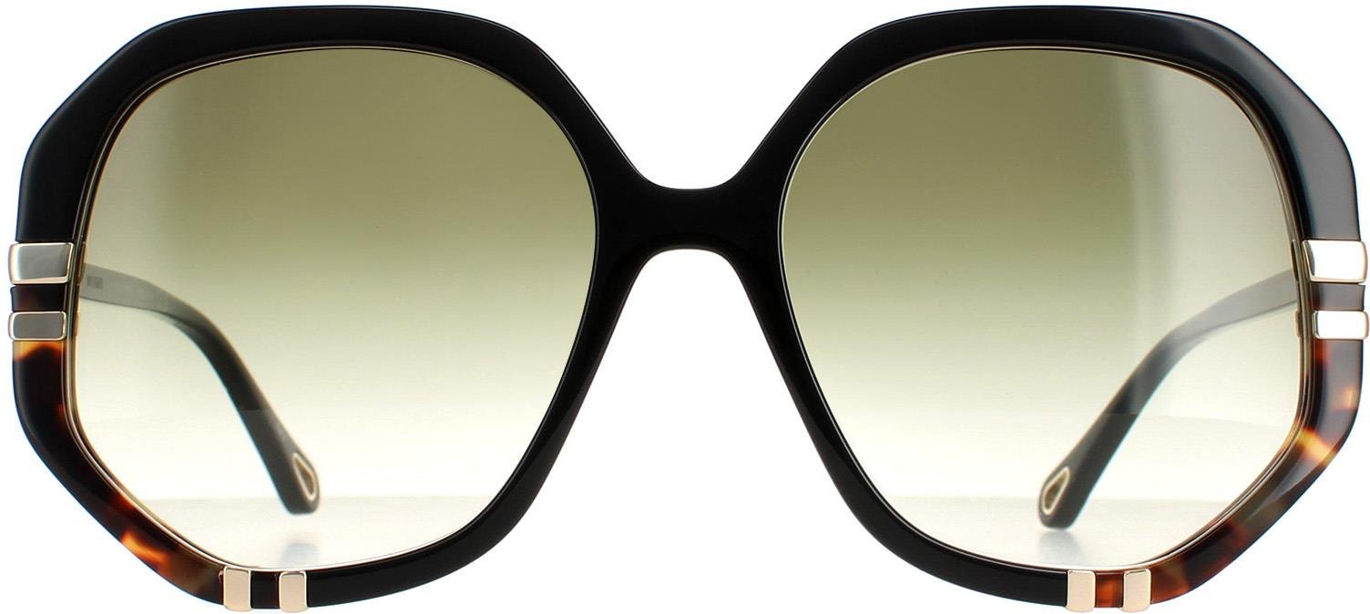 Chloe Square Womens Glänzend Schwarz und Schildkröte Grün Gradient CH0105S