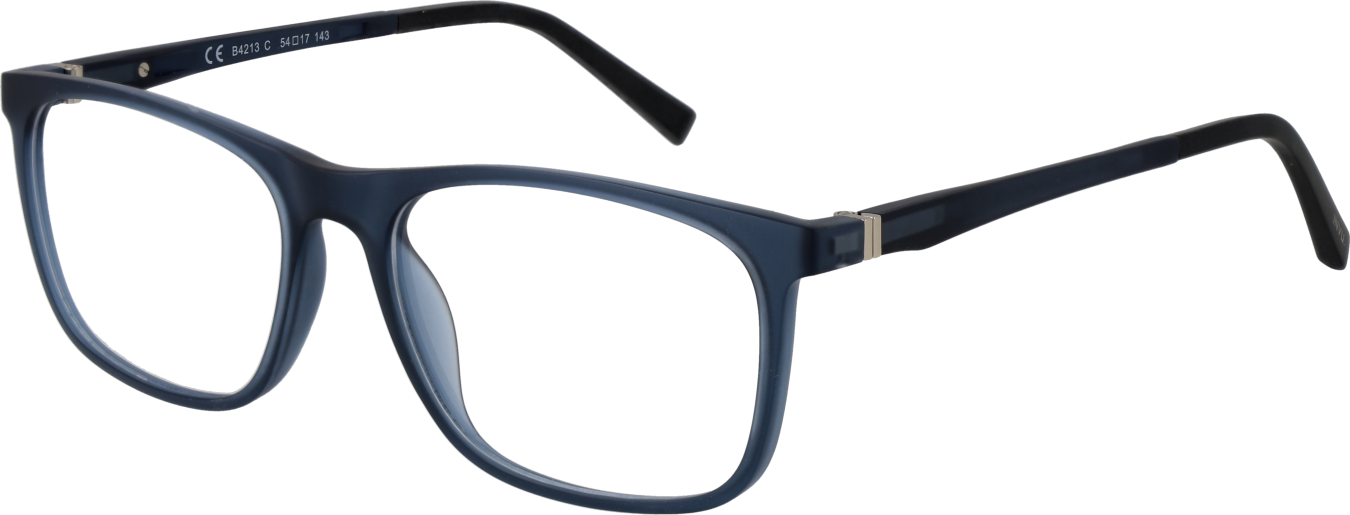 Invu Brillenfassung B4213 C 54