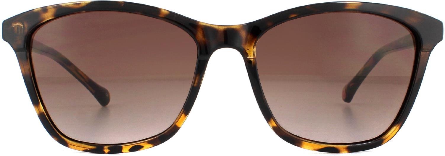 Ted Baker Lunettes De Soleil TB1440 Tari 122 Dégradé Brun De Havane