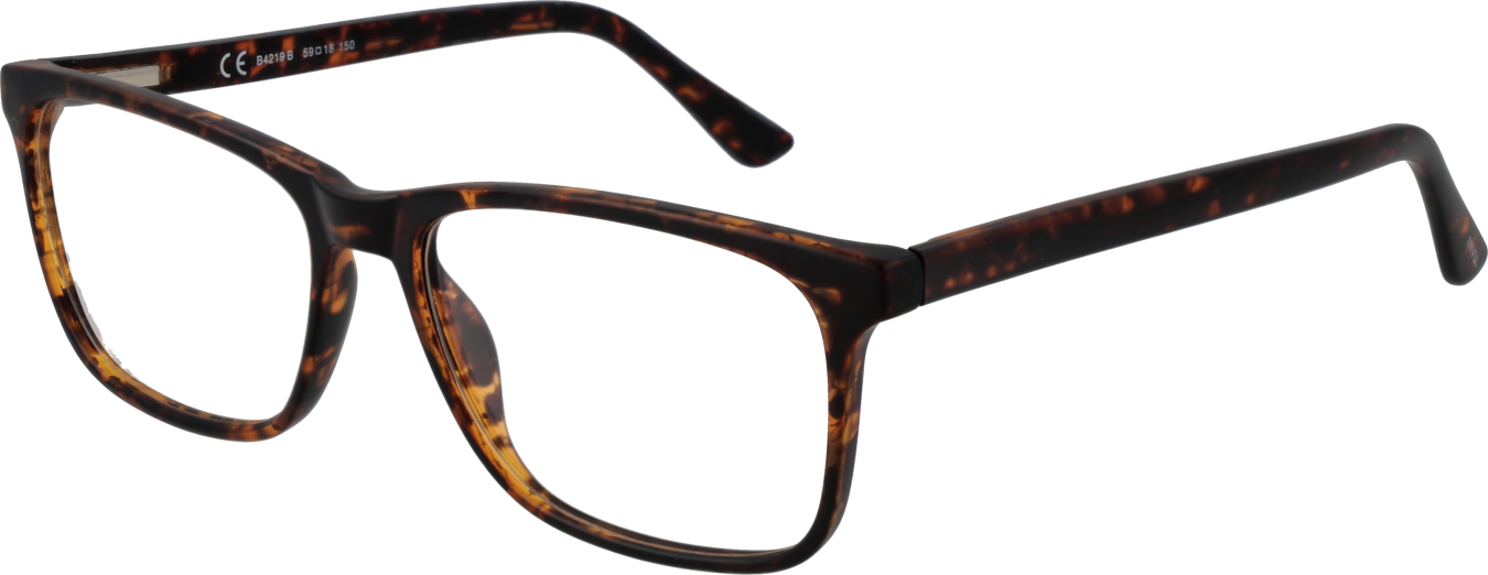 Invu Brillenfassung B4219 B 59