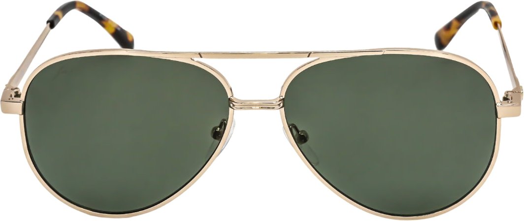 Lacoste – Polarisierte Sonnenbrille mit goldenem Metallrahmen in Grün