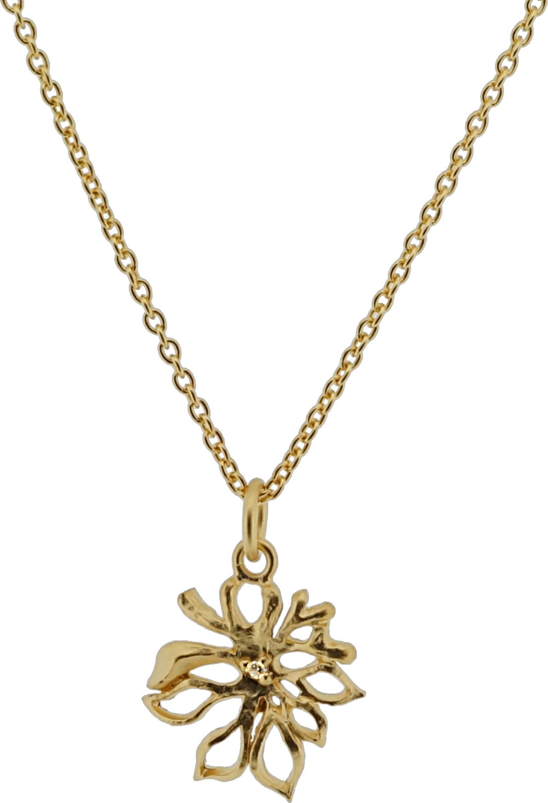 Orphelia Damen 925 Sterling Silber Kette mit Anhänger - Gold ZH-6027/2