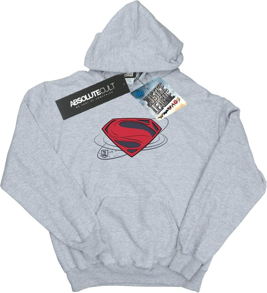 DC Comics - "Justice League" Kapuzenpullover für Herren (Grau)