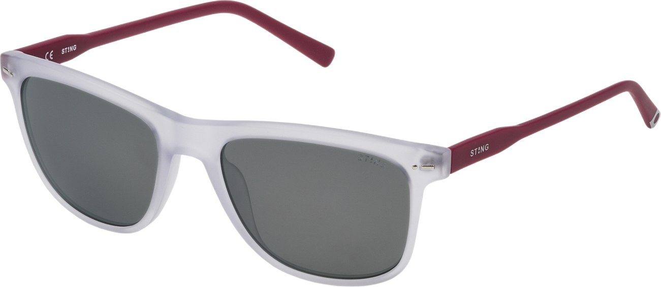 Herren Sonnenbrillen Sting SST00855881X Ø 55 mm