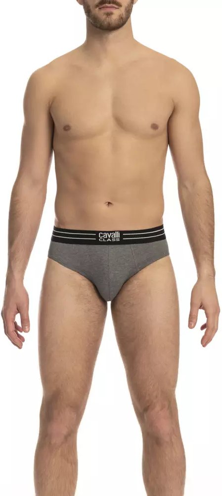Briefs-Unterwäsche Baumwollmischung Ca23767
