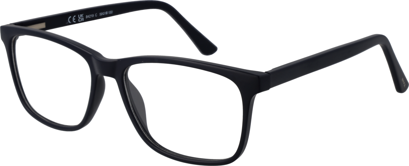 Invu Brillenfassung B4219 C 59