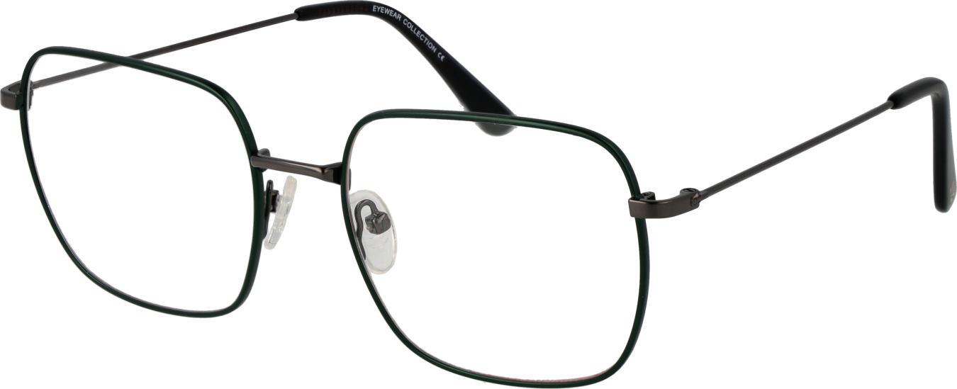 Funky Buddha Brillenfassung FBD1014 004 54