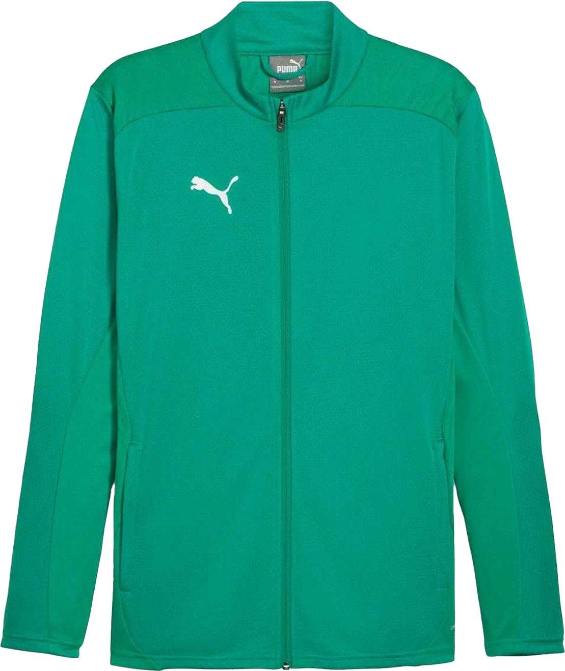 Puma Herren TeamFinal Trainingsjacke (Grün)