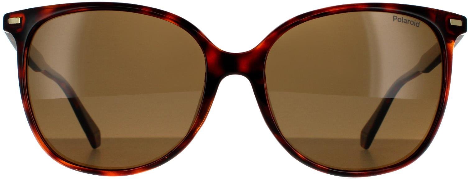 Polaroid Cat Eye Womens Dark Havana Bronze polarisierte Sonnenbrille