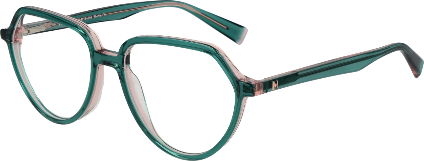 Ana Hickmann Brillenfassung HI6277 H01 53