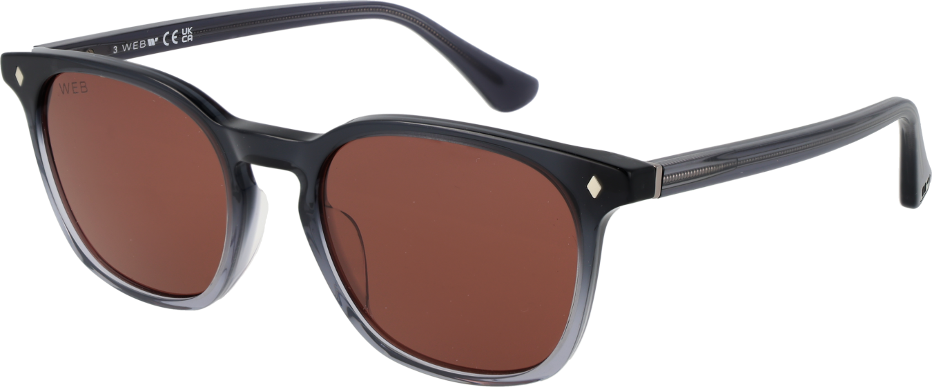 Web Sonnenbrille WE0364 20S 52