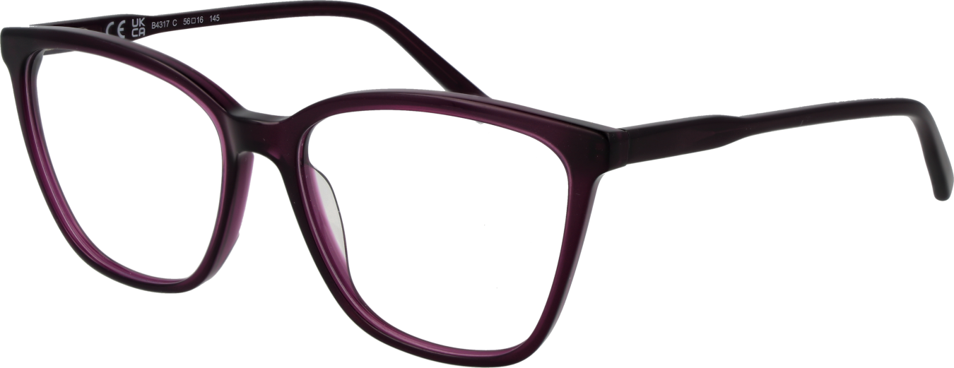 Invu Brillenfassung B4317 C 56