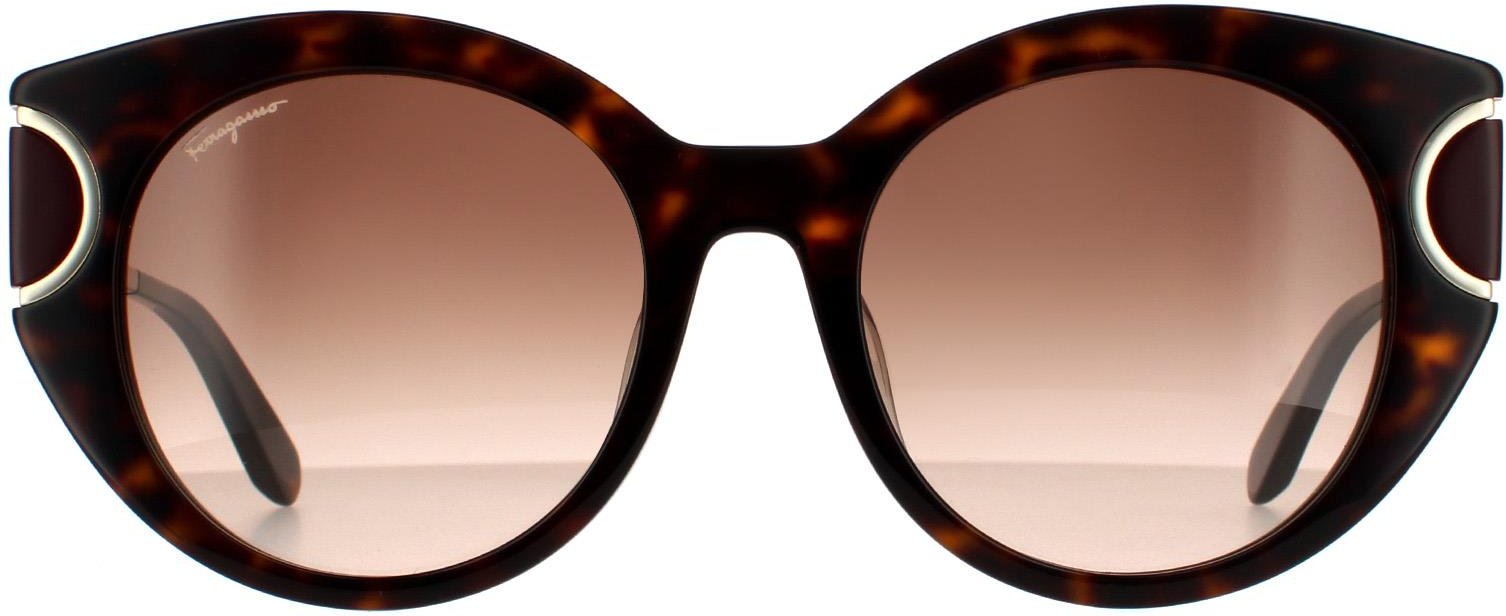 Salvatore Ferragamo Cat Eye Womens Schildpatt Braun Gradient Sonnenbrillen