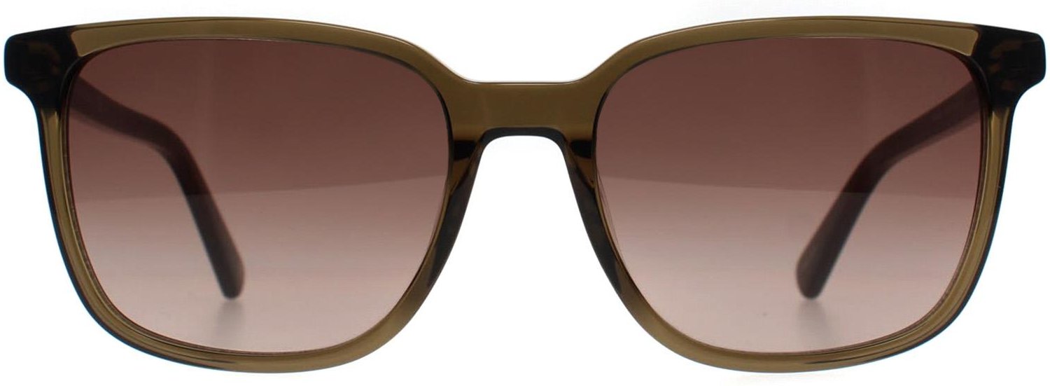 Banana Republic Rectangle Herren Grün Braun Gradient BR 4003/S