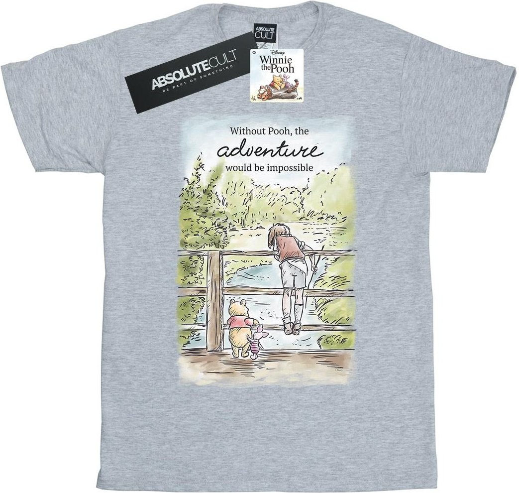 Disney - "Winnie The Pooh Adventure" T-Shirt für Mädchen (Grau)