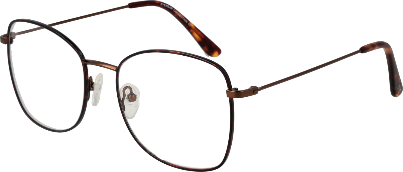 Funky Buddha Brillenfassung FBD1015 002 54