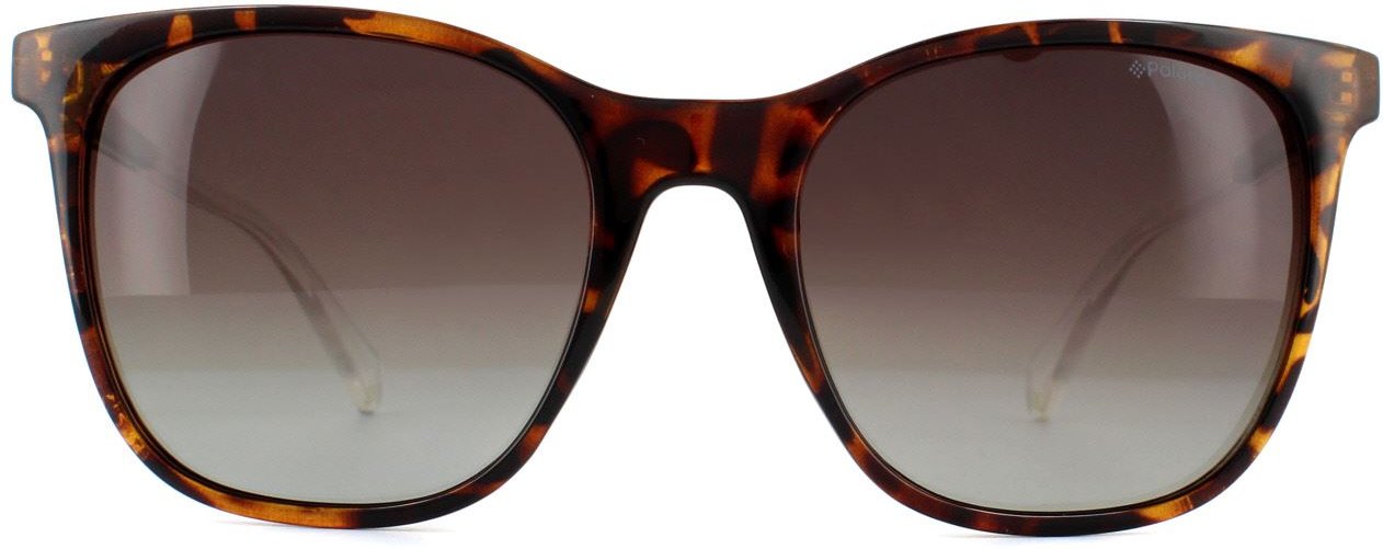 Polaroid Square Womens Dark Havana Brown Polarisierte Sonnenbrille
