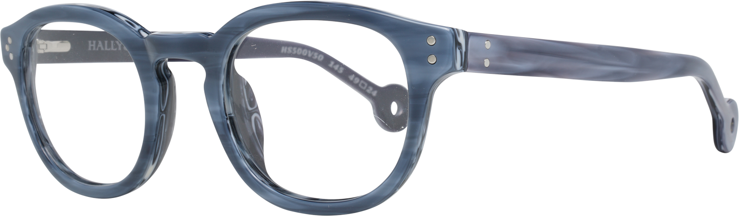 Hally & Son Optischer Rahmen HS500V 50 49
