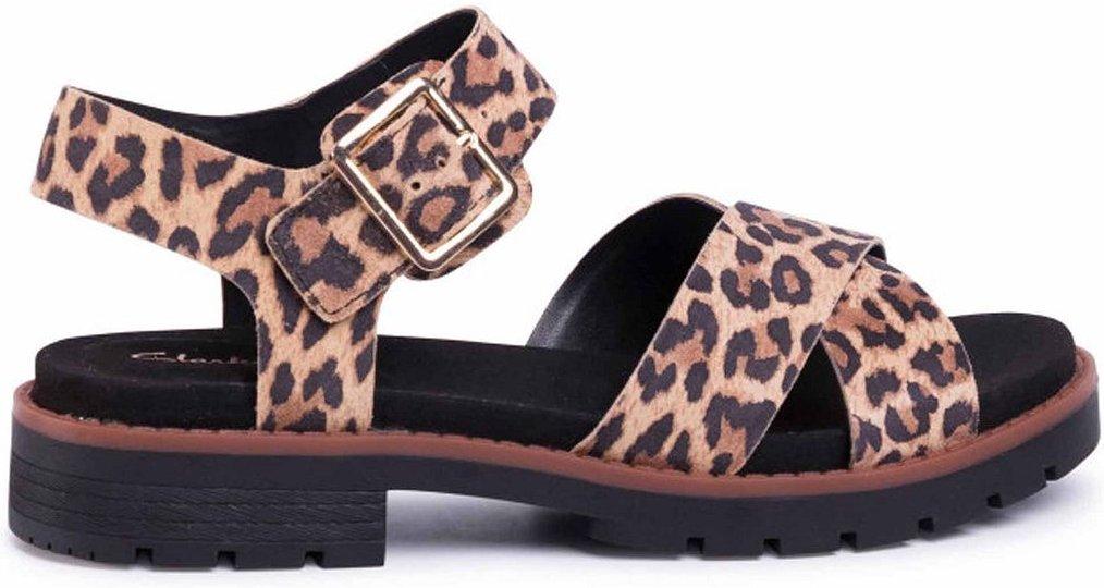 Clarks Orinoco -Gurt Frauen braune Sandalen