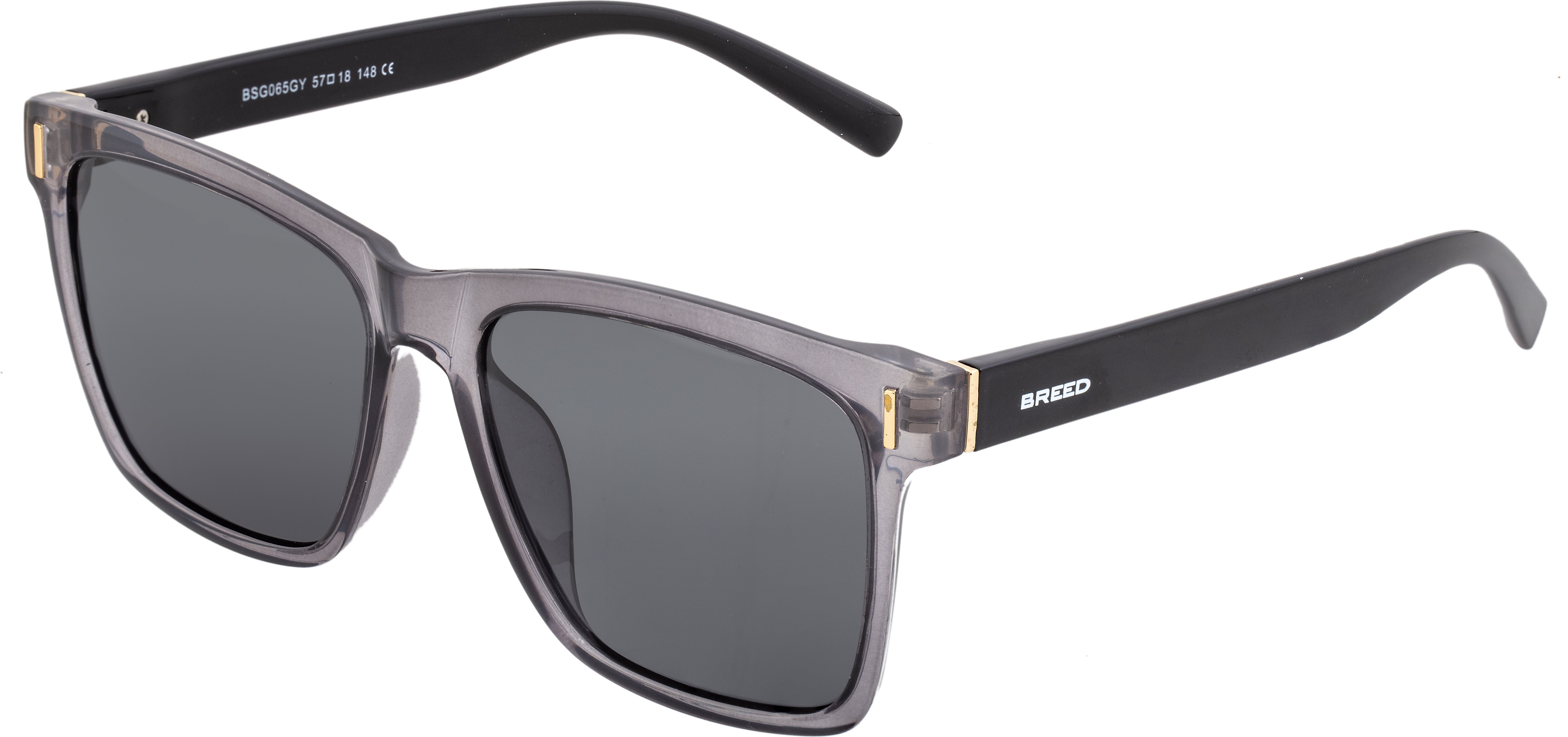 Breed Pictor Polarisierte Sonnenbrille