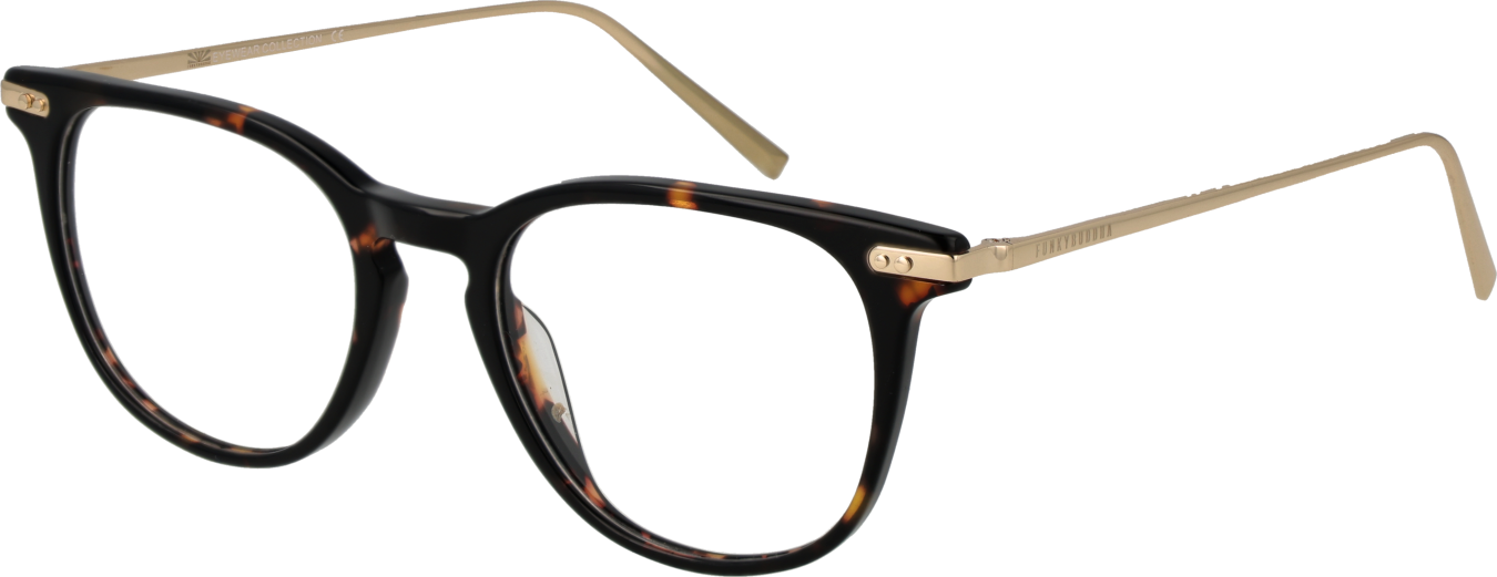 Funky Buddha Brillenfassung FBD1065 002 49