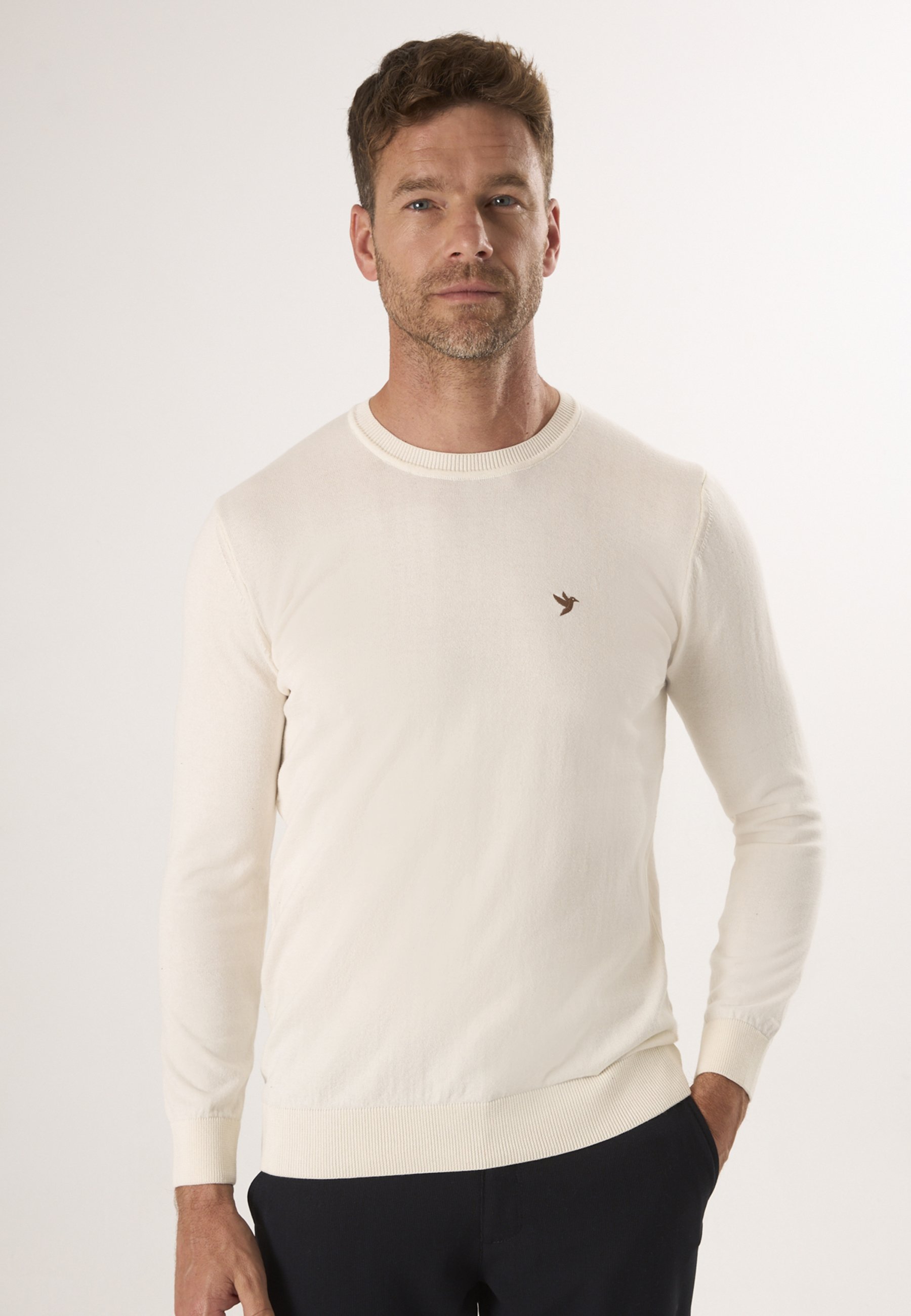 Pullover Pullover Mit Rundhalsausschnitt