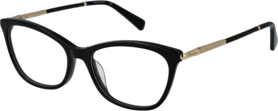 Schwarze Kunststoffbrille (Gestelle)