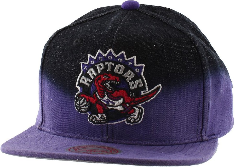 Mitchell & Ness Toronto Raptors Mens Cap