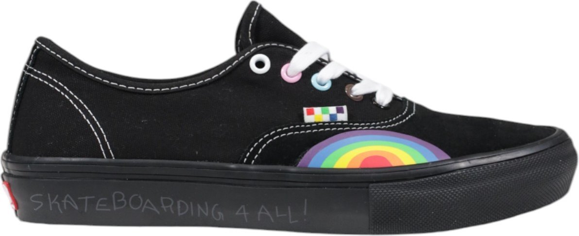 Authentische Regenbogen-Skate-Schuhe