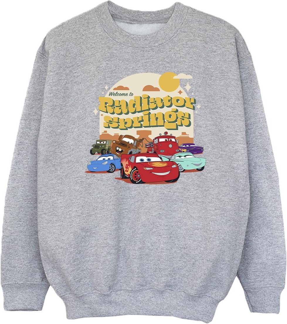 Disney - "Cars Radiator Springs Group" Sweatshirt für Mädchen (Grau)