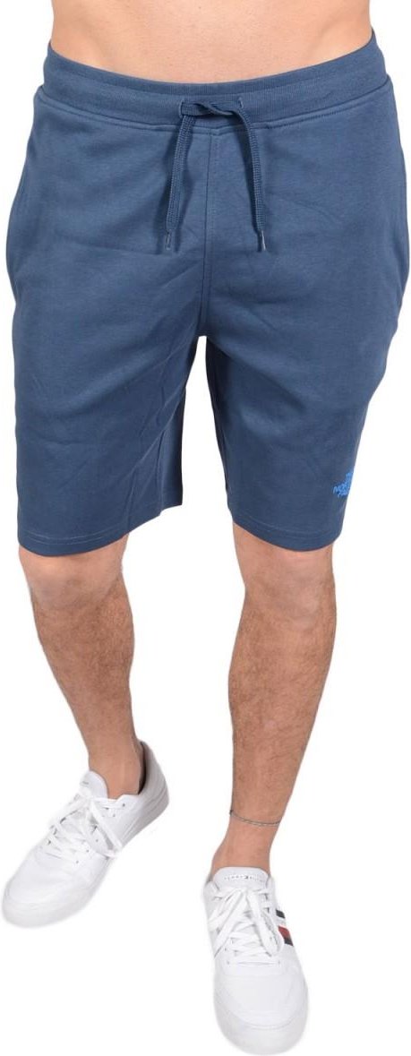 The North Face Shorts Graphic Herren Blau