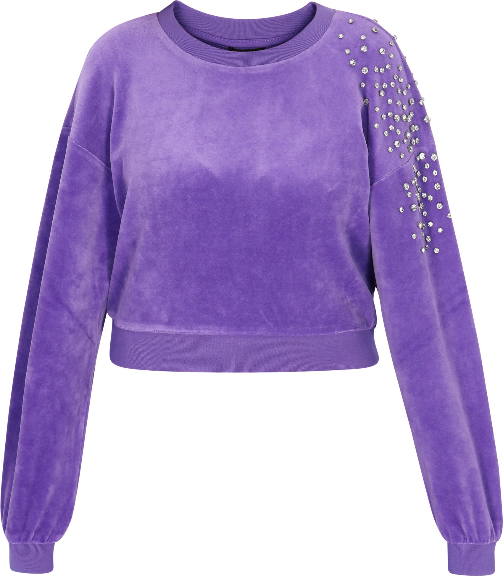 Faina Sweatshirt Frauen Violett