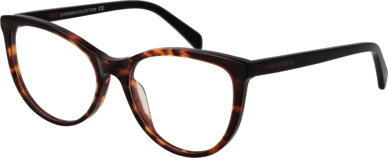Funky Buddha Brillenfassung FBD1012 001 53