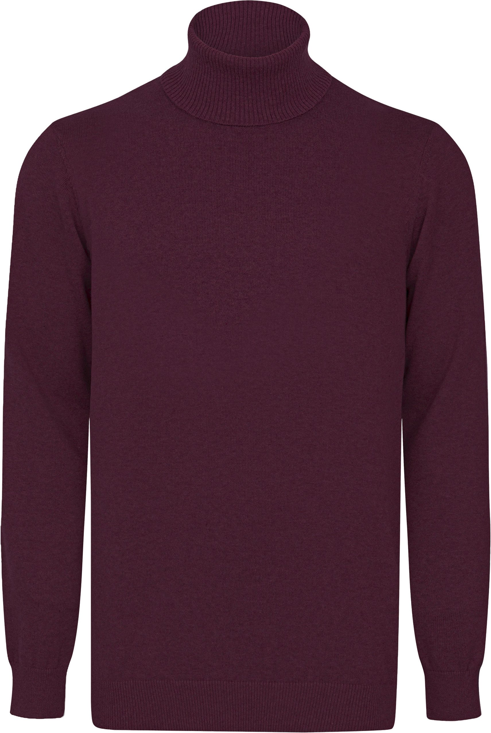 Pullover Rollkragenpullover