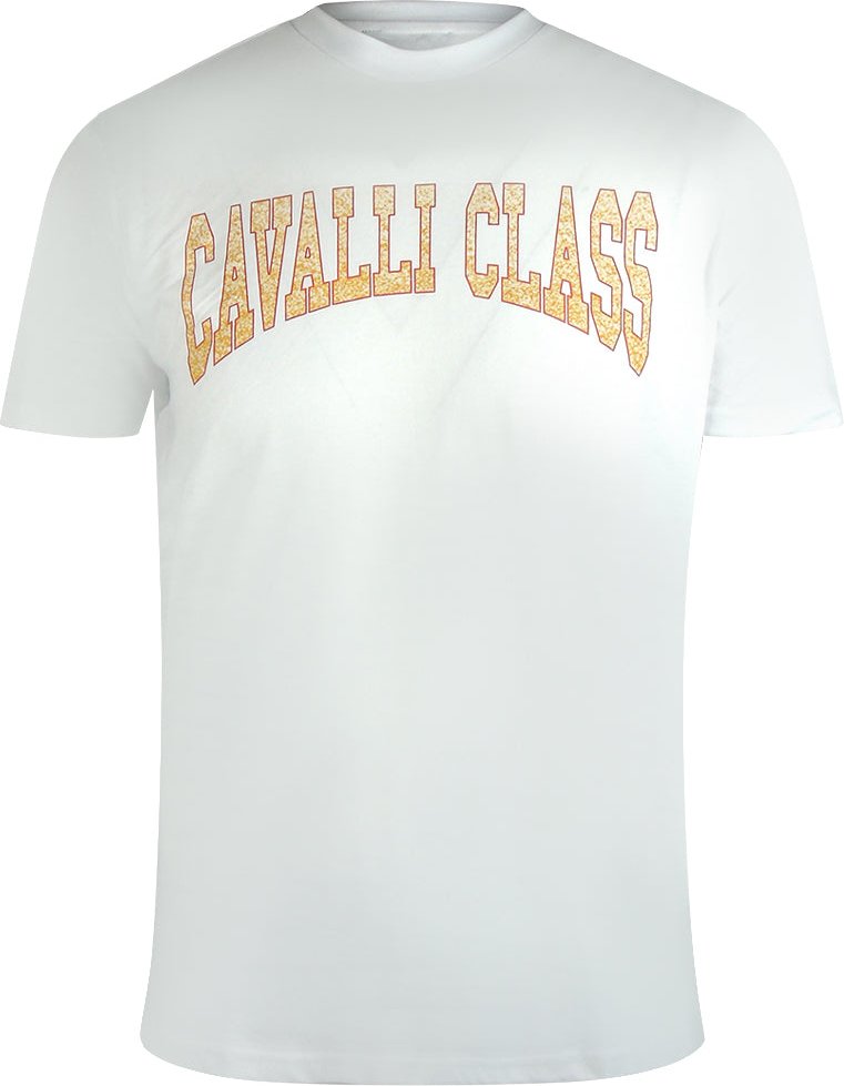 Cavalli Class Varsity Logo T-shirt In Cremeweiß