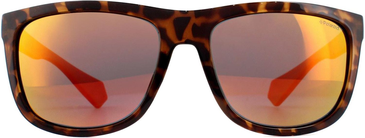 Polaroid Round Mens Dark Havana Red Polarise Lunettes de soleil