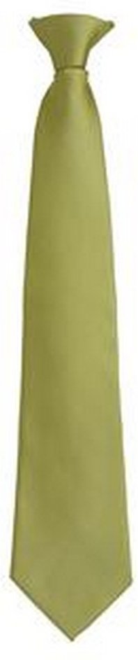 Premier Mens Fashion "Farben" Arbeit Clip auf Krawatte (Gras)