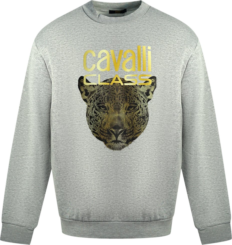 Thumbnail - Cavalli Class Leopardenprint-Logo Grauer Pullover