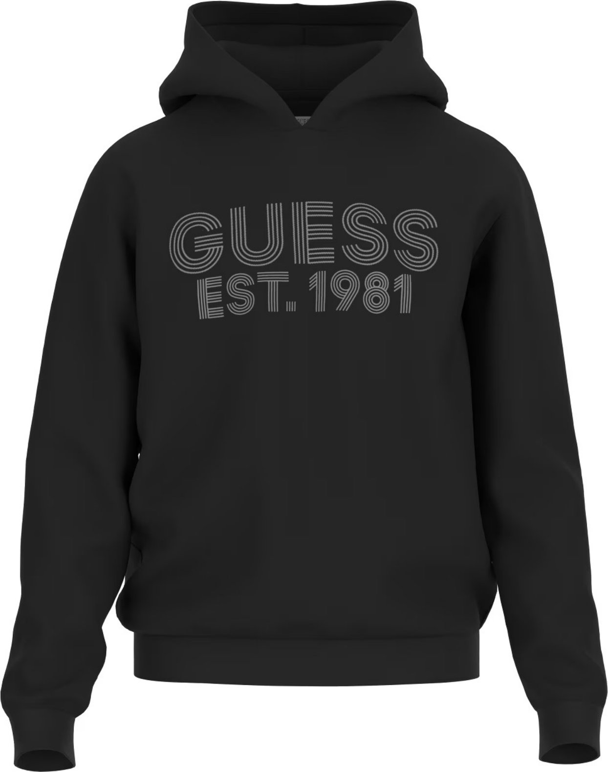 Guess Kapuzensweatshirt