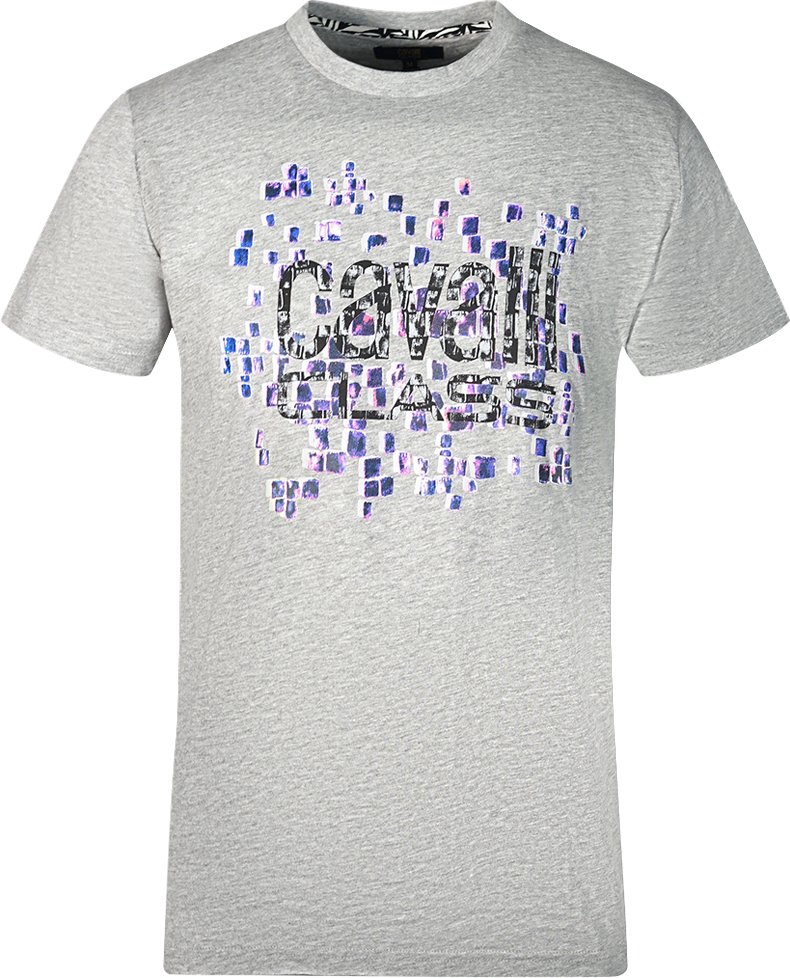 Cavalli Class Skalen Design Logo Graues T-Shirt