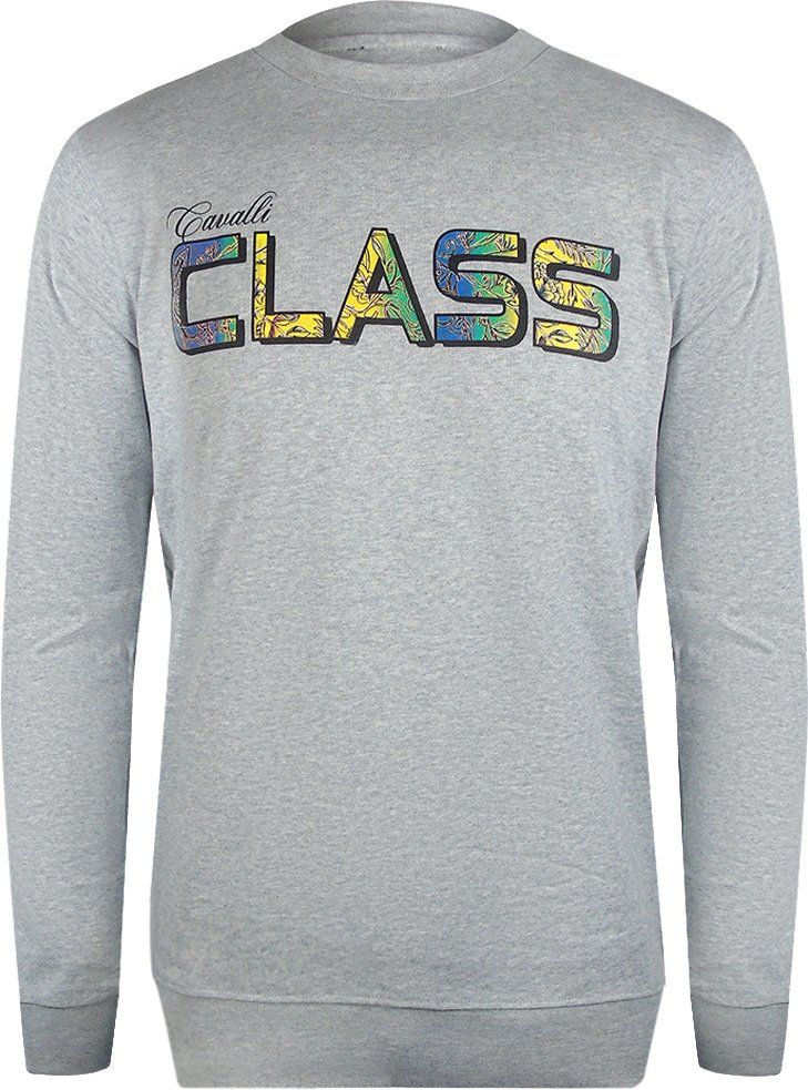 Cavalli Class - Graues Sweatshirt Mit Leuchtendem Blumenlogo