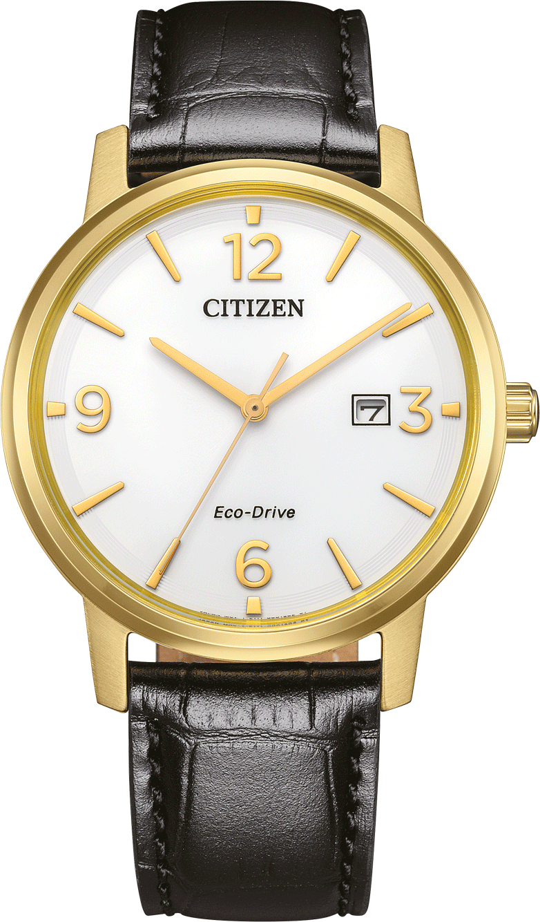 Citizen Schwarz Herren Armbanduhr BM6756-01A
