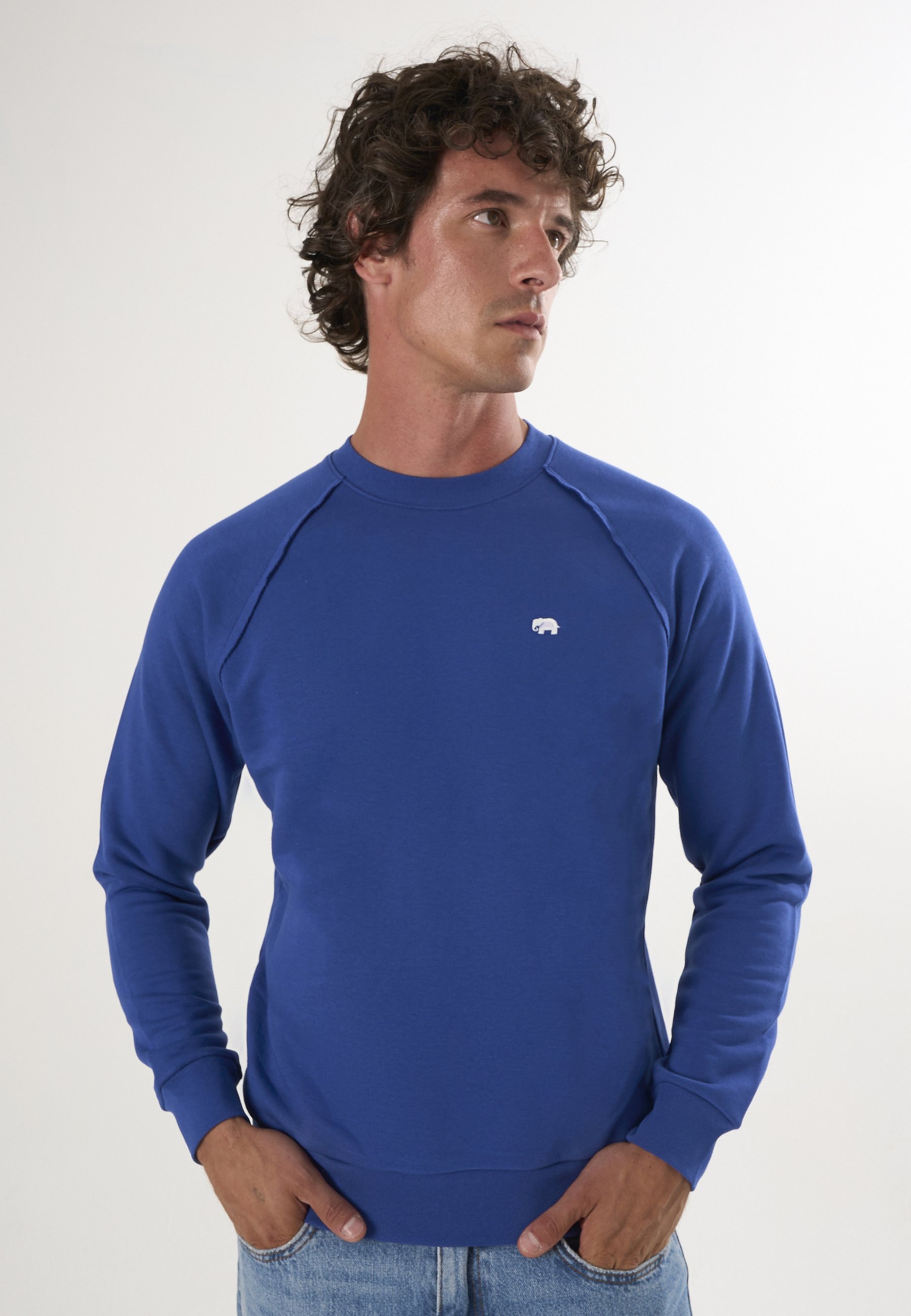 Sweatshirt Basic Rundhals Sweatshirt